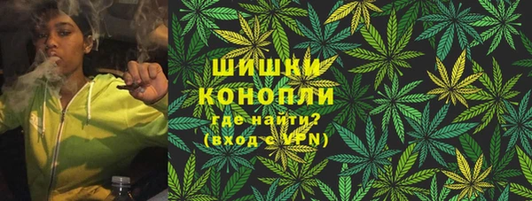 мяу мяу кристалл Ельня
