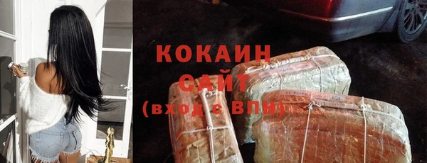 гашик Переславль-Залесский